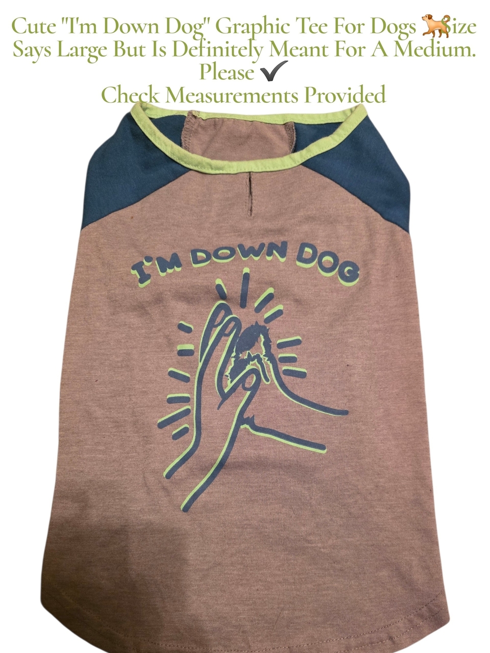 I'm Down Dog Graphic Dog Tee - Grey with Blue & Lime Trim